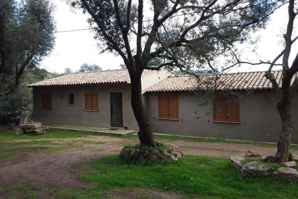 Villa Casa-Anghjulina Porto Vecchio Exterior foto